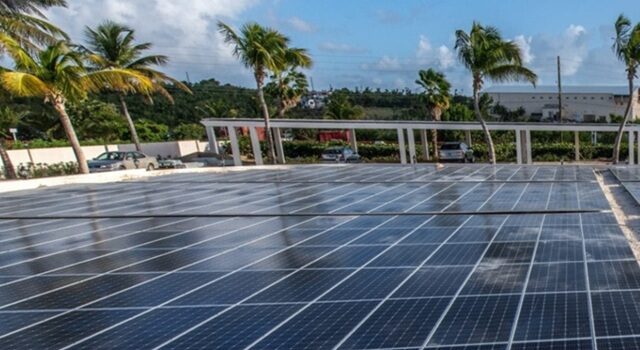 Lena admiring the street art at the East Side Gallery in Berlin