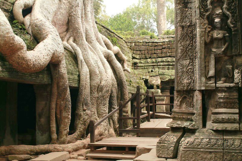 A rural scene in Cambodia, featuring a red dirt road, stilted houses, and water buffalo grazing in a rice paddy