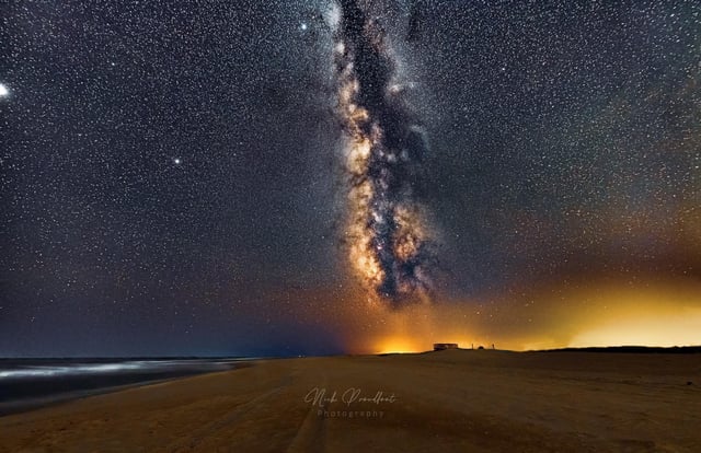 Emily kayaking through Sinepuxent Bay, observing marine life