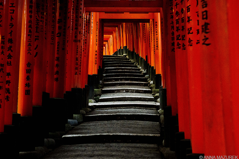 Early morning light filtering through the vermillion torii gates of Fushimi Inari Shrine, creating leading lines.
