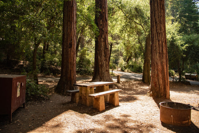 A wide, well-maintained bathroom facility is shown.