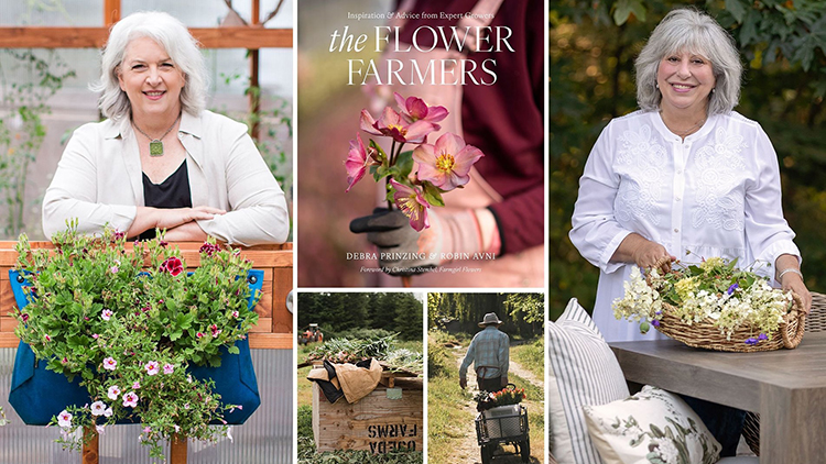 From Garden to Vase: Growing a Rainbow of Cut F...