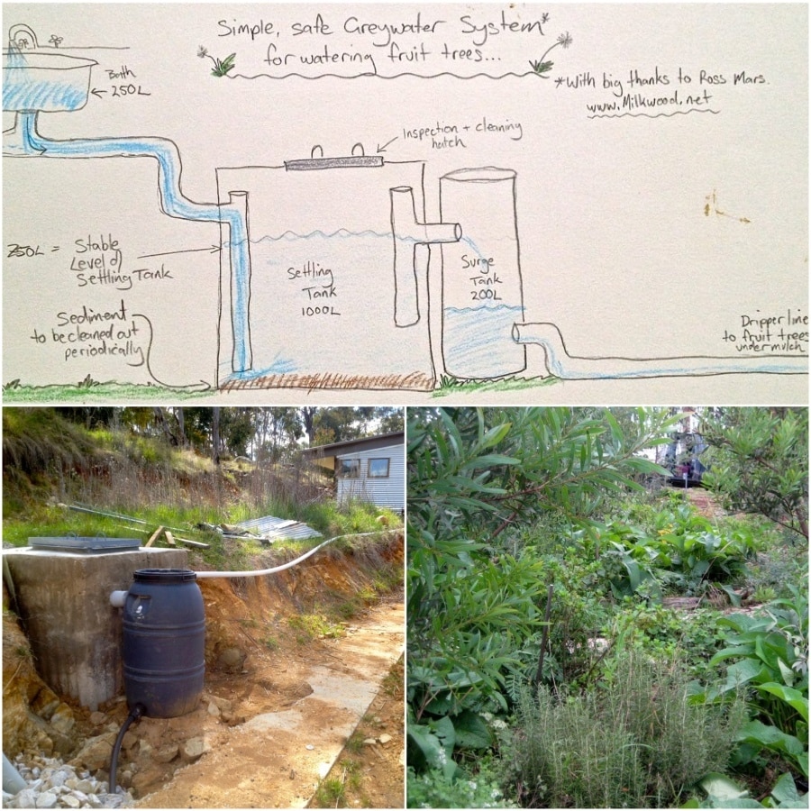 Laundry to Landscape: DIY Gray Water System for Ho...