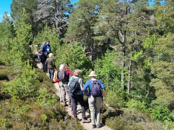 Close up of a beautifully set table with silverware, glassware, and place settings