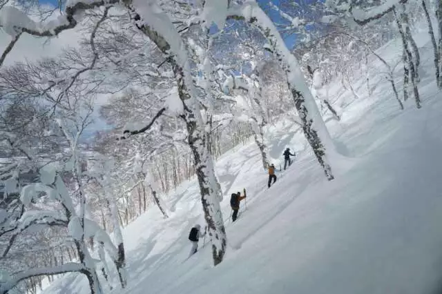 # Conquer Niseko's Powder Paradise: Beyond the Slo...