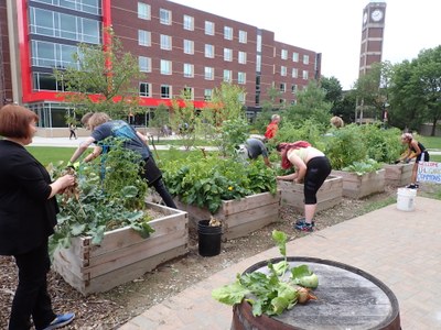 Build a DIY Compost Bin From Pallets: A Beginne...