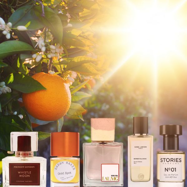 A flamenco dancer in a red dress performing on stage