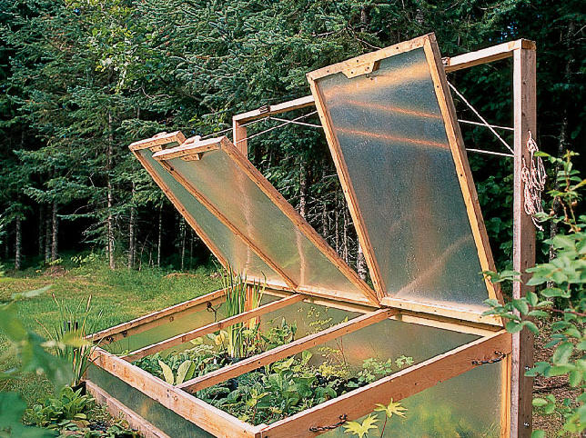 Cold Frame against house