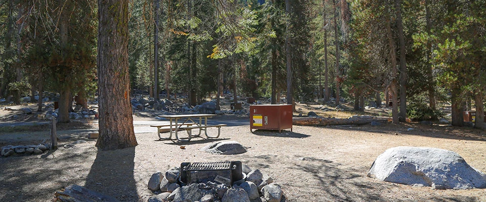 # Lodgepole Campground Review: A Couple's Guide to...