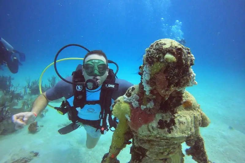 Dolphins swimming in Bimini