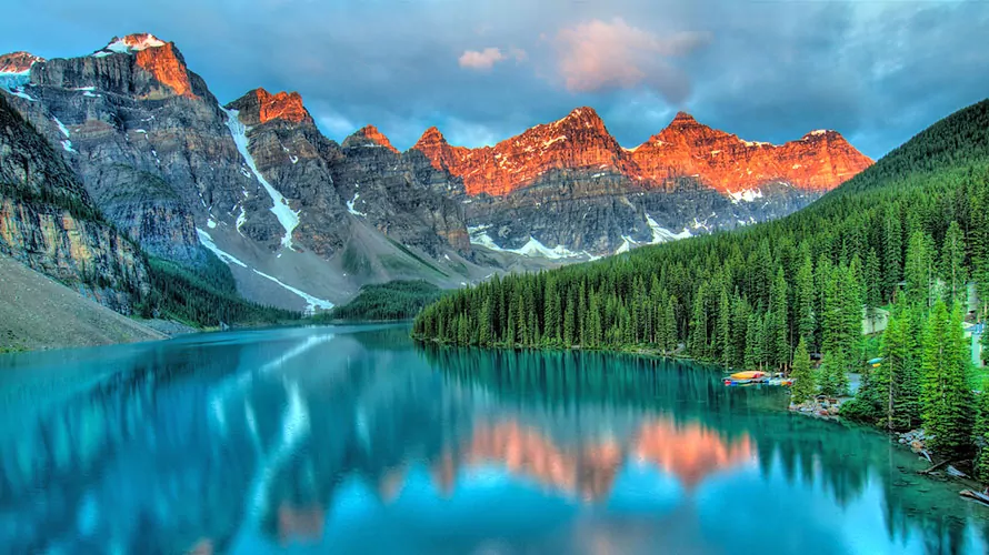 A vibrant field of wildflowers in Banff National Park, with snow-capped mountains in the background, showcases the colorful flora and breathtaking scenery of the region.