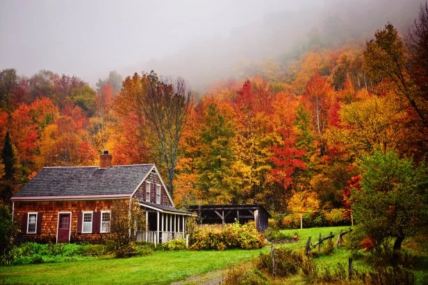 Capture the Magic of Autumn: Handcrafted Fall...
