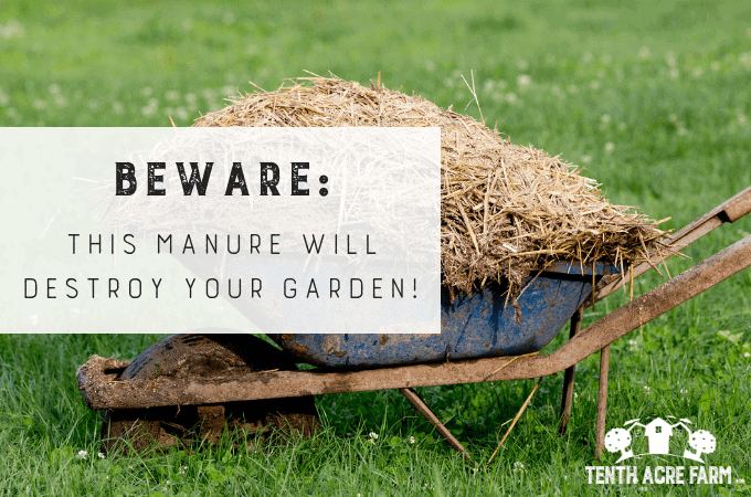 Manure compost