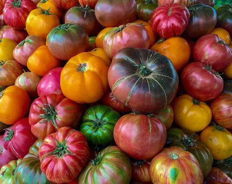 Saving Our Seeds: Preserving Heirloom Varieties...