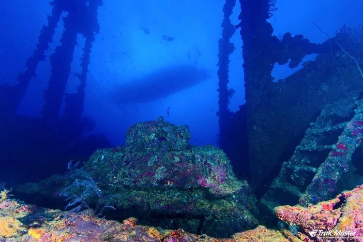 Dalmatian Coast Eco Yacht Charter