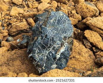 A boat sailing past rocky cliffs in Newfoundland, Canada, showcasing the rugged coastline. The image complements the descriptions of the cod fishing tour and scenic boat rides.