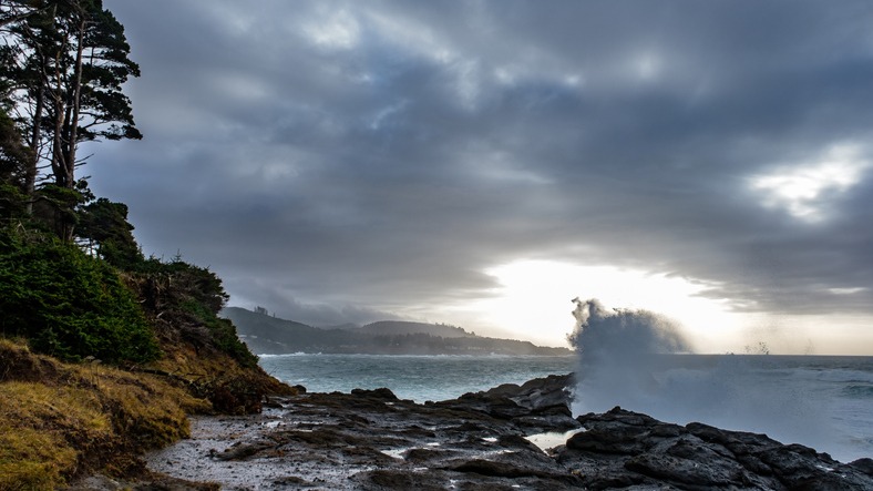 Kenai Fjords Kayaking