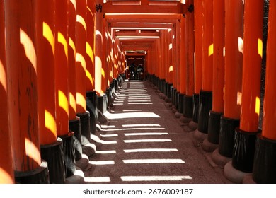 A close-up shot of a bowl of freshly prepared matcha tea, highlighting its vibrant green color.