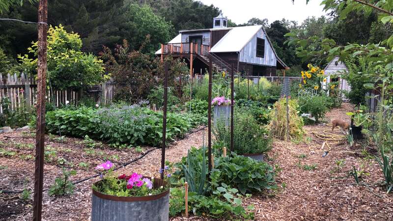 Unlock Your Homestead's Potential: Building a D...