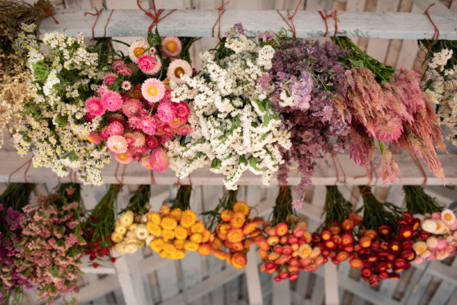 Grow Beauty & Bounty: Creating a Delicious Edib...