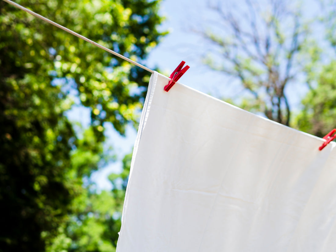 linen sheets drying outdoor clothesline trees