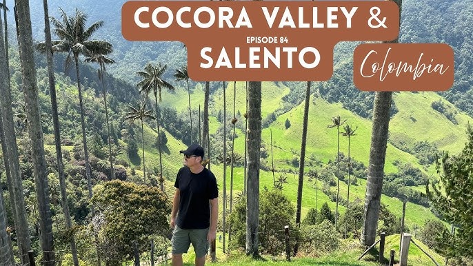 # Wax Palms and Wi-Fi: My Digital Nomad Adventure...