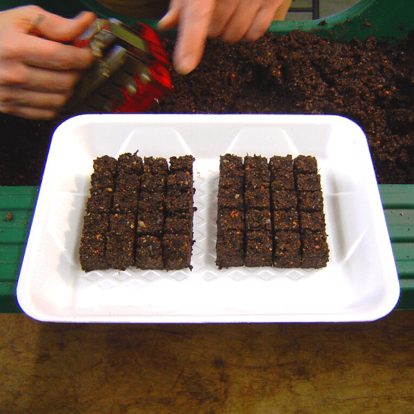 Mastering Soil Blocking: A Gardener's Guide to...