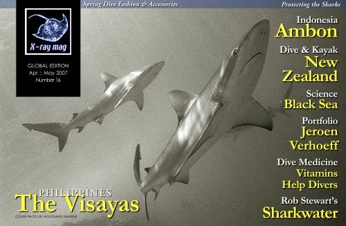 Shark underwater