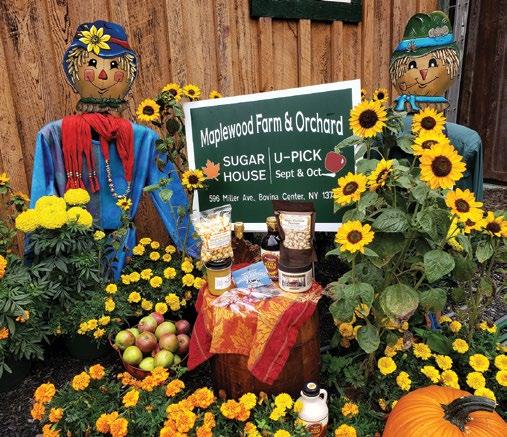 Cornucopia Display During Thanksgiving