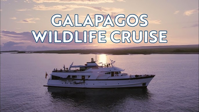 An ocean view of a villa on a cliff, with a private plunge pool in the foreground