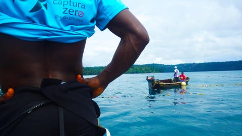 # Discovering Príncipe Island Ecotourism: A Conser...