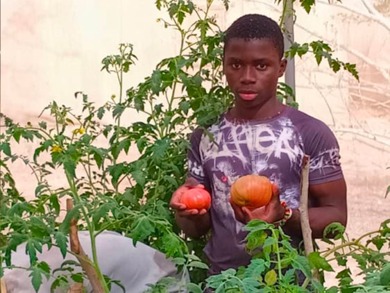 From Seed to Supper: Building a Self-Sufficient...