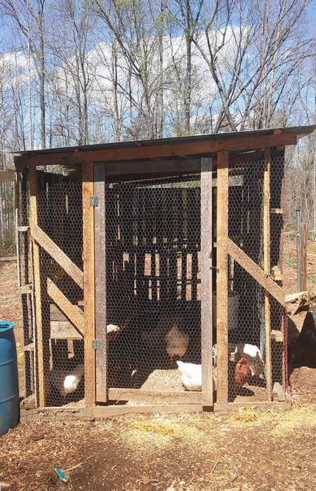 Simple chicken coop