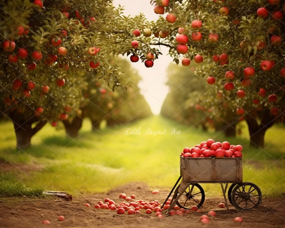 Image of apples being added to a compost bin alongside other organic waste, emphasizing sustainable practices and waste reduction in the garden.