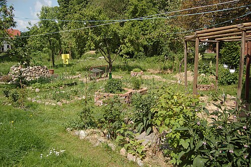 Beyond the Bag: Building a Sustainable Chicken...