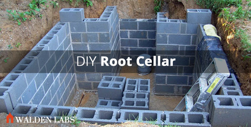 Laying a Foundation