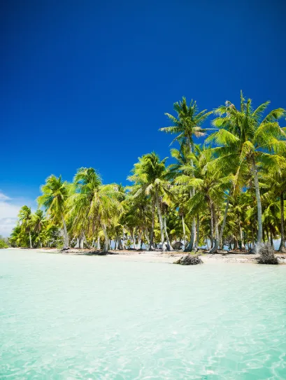 Fakarava Tours
