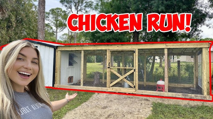 Chicken coop build