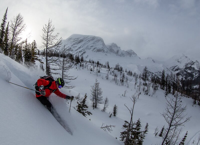 Family heli-skiing in the Purcell Mountains, Banff.