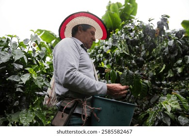 Salento’s vibrant and colorful colonial buildings surrounded by rolling green hills and distant mountains.