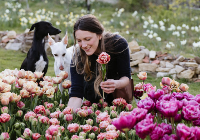 Unlock Your Garden's Potential: Attract Native...