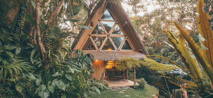 Tranquil Ubud Landscape