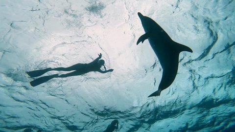 A stunning, cinematic image of the crystal-clear turquoise waters of the Bahamas at sunrise. A lone freediver, silhouetted against the rising sun, gracefully descends alongside a playful pod of spotted dolphins.
