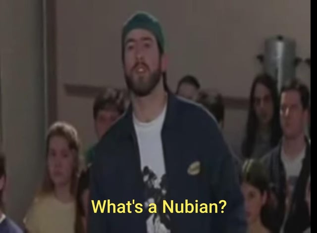 # Nexerelin Starsector Mod Review: Transform Your...