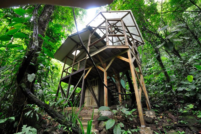 # Treehouse Living: A Sustainable Rainforest Adven...