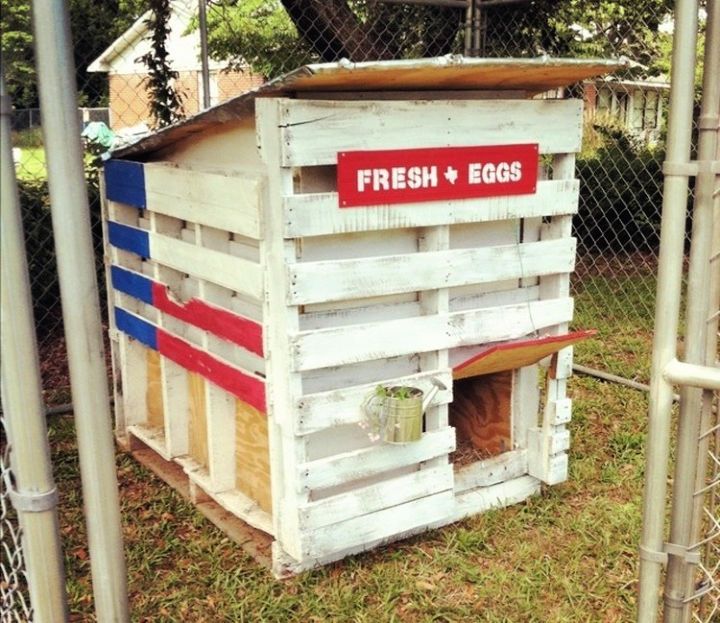 Predator Proofing the Coop