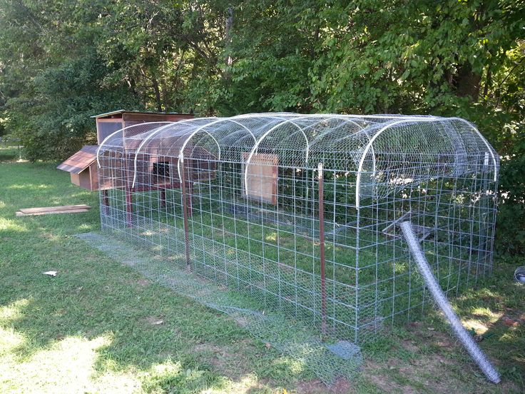 A shipping container chicken coop painted a muted sage green, blending seamlessly into a lush green homestead environment.