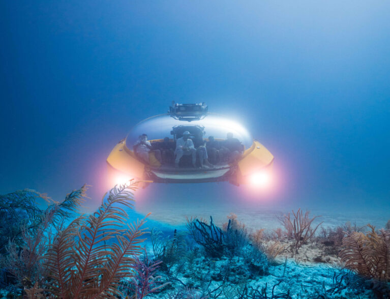 Submersible exploring deep-sea coral