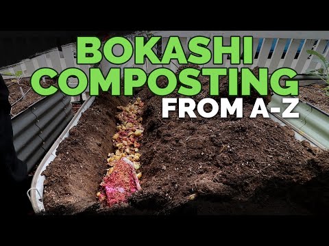 close-up bokashi bran grains inoculated microbes 