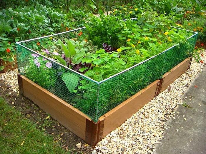 Elevated garden bed with rabbit fence
